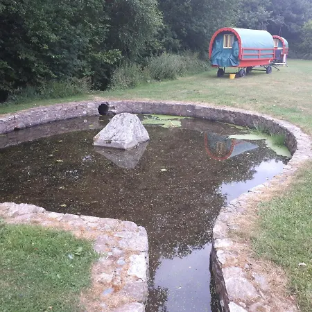 Birchdale * Rathdrum