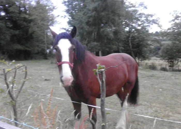 Lejlighed Birchdale Rathdrum