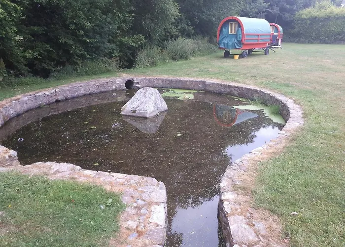 Birchdale * Rathdrum